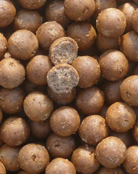 Liver Silkworm Boilies