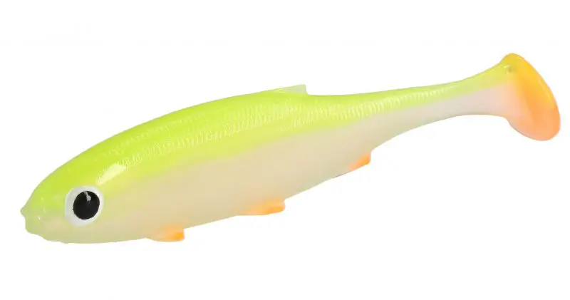 REAL FISH ROACH 15cm - 2 Stück – Bild 3