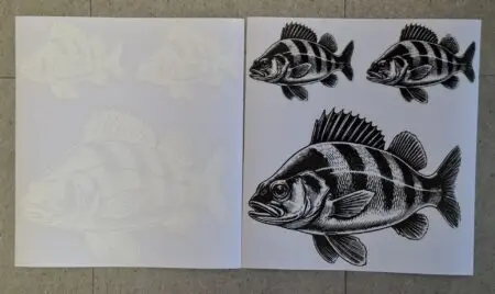 Barsch Aufkleber – UV‑beständiger Raubfisch‑Sticker | Perfekt für Tacklebox & Auto