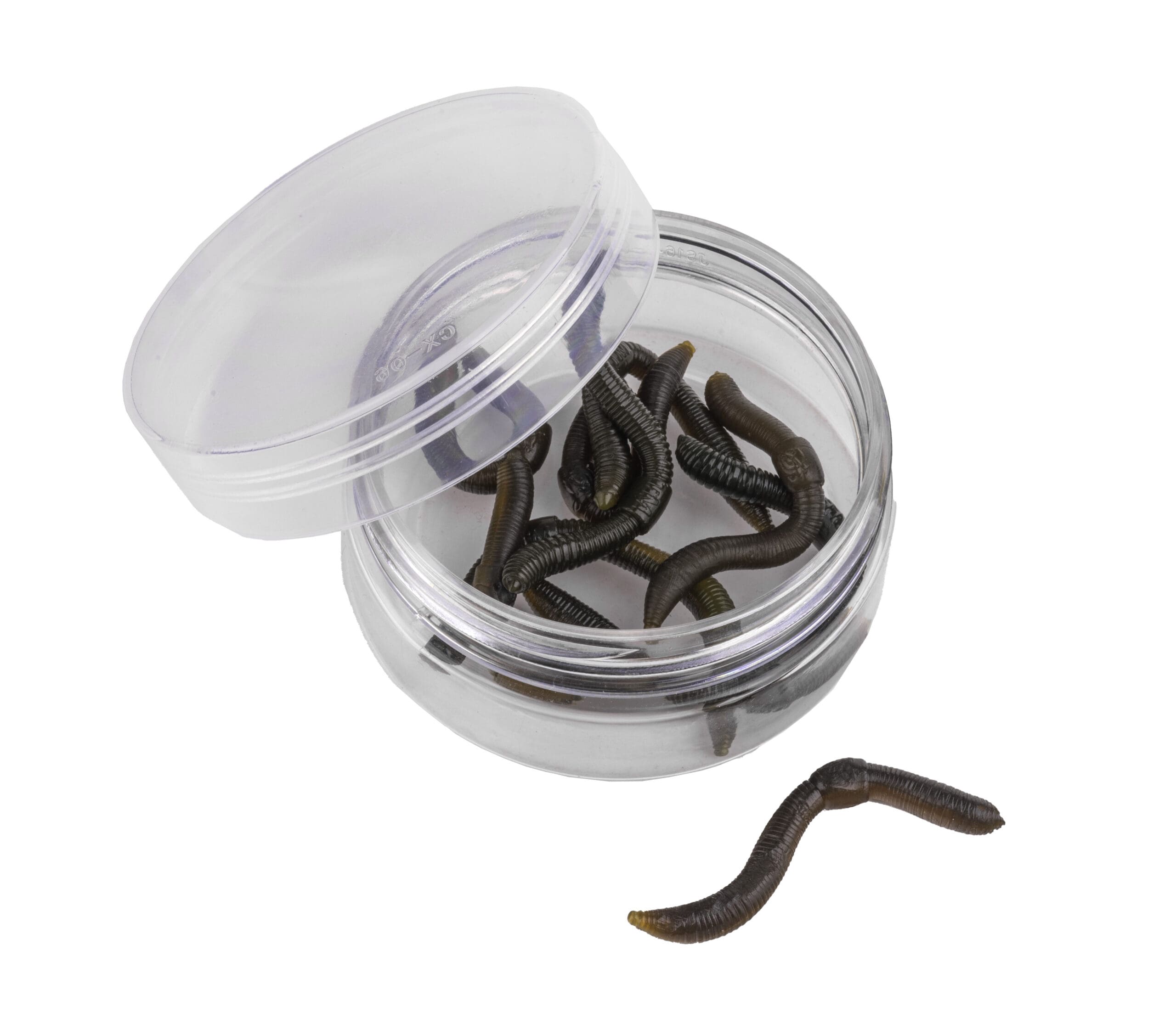 POP-UP WORMS