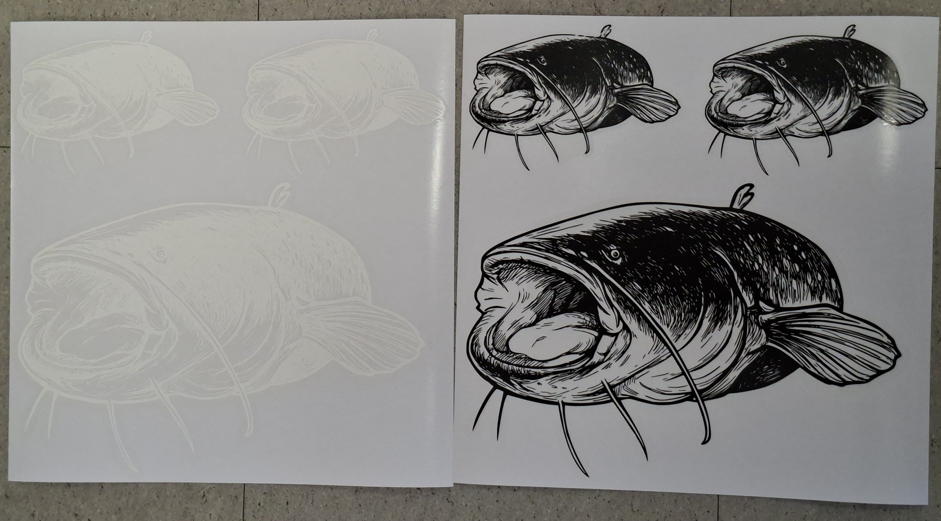 Waller / Wels Aufkleber – Extrem robuster Outdoor‑Sticker für Welsangler