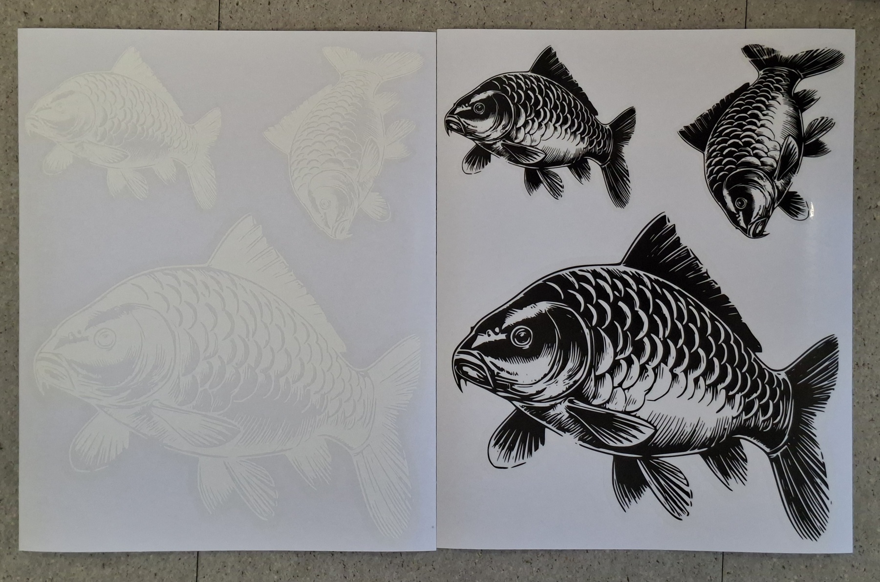 Karpfen Aufkleber für Angler – Wetterfest & UV‑beständig | Perfekt für Tacklebox, Auto & Boot