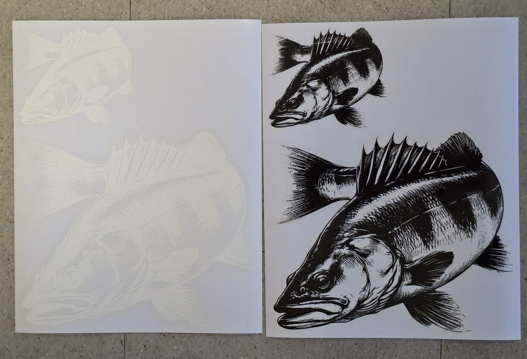 Zander Aufkleber – Wetterfester Raubfisch‑Sticker | Perfekt für Auto, Boot & Tacklebox