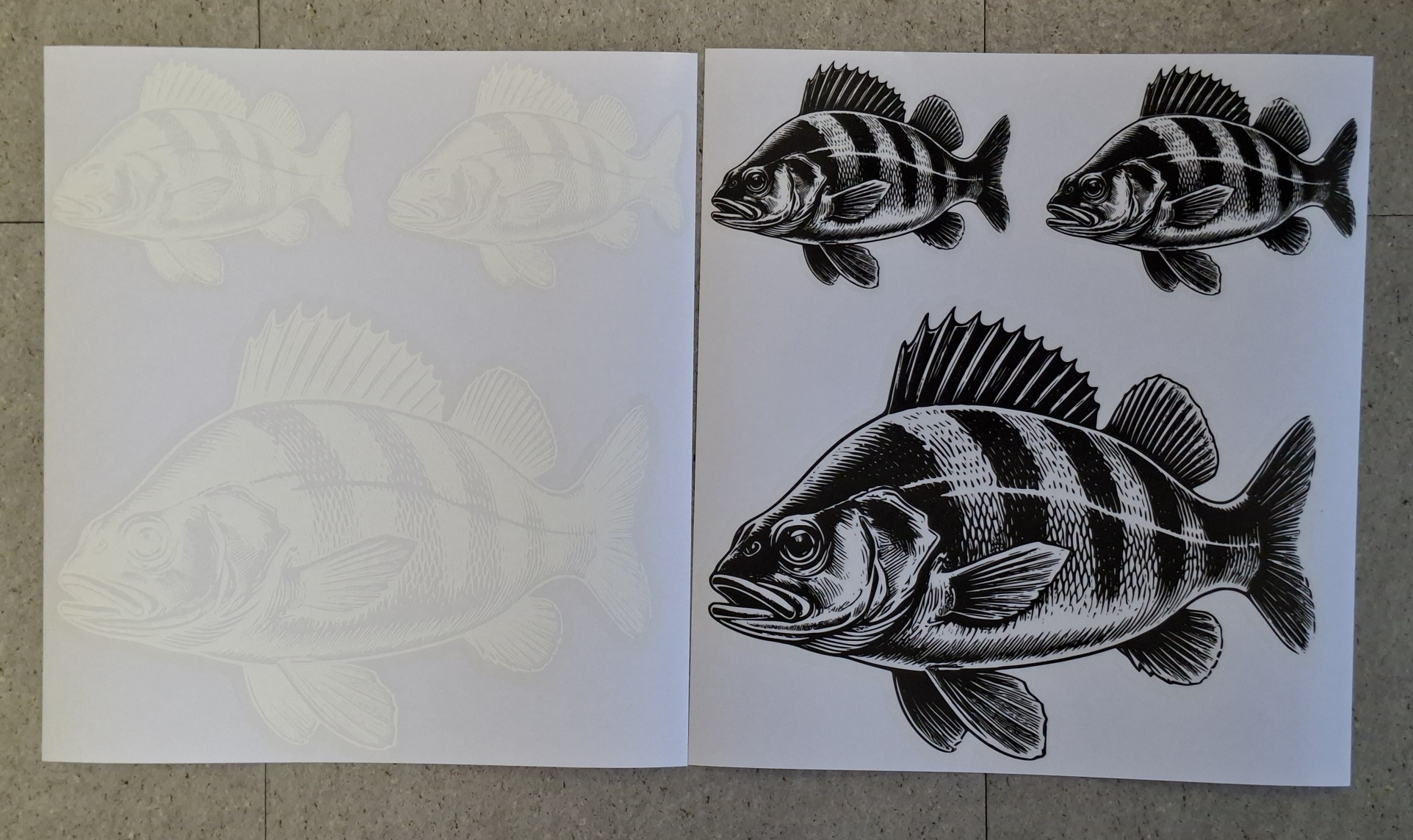 Barsch Aufkleber – UV‑beständiger Raubfisch‑Sticker | Perfekt für Tacklebox & Auto