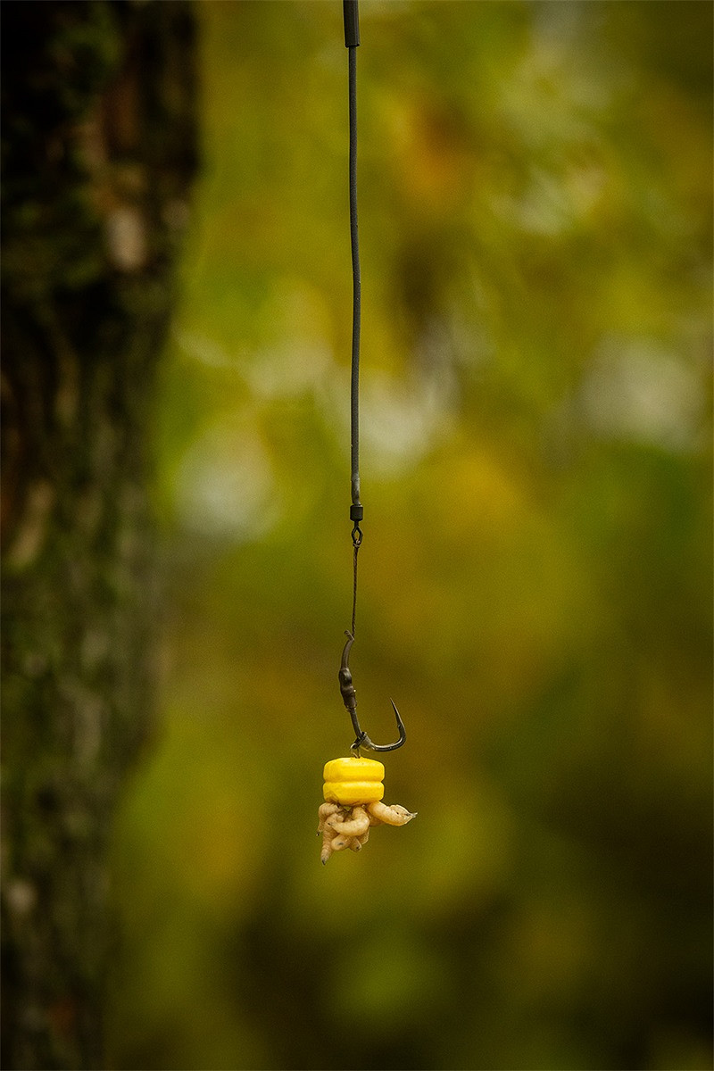 TUNGSTEN BUNGEE BOOM